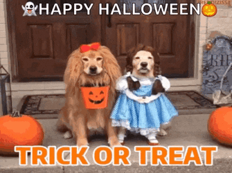 Happy Halloween Eve GIF