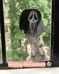 Happy Halloween Funny Squirrel In Scream Costume GIF