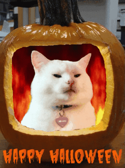 Happy Halloween White Cat GIF