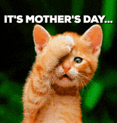 Happy Happy Happy Cat Face Palm Mothers Day GIF