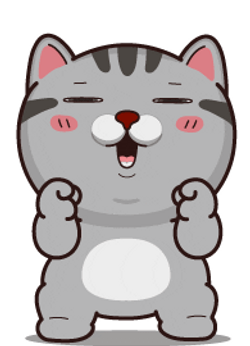 Happy Happy Happy Cat Jumping For Joy GIF