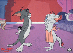 Happy Happy Happy Cats Tom And Toodles GIF