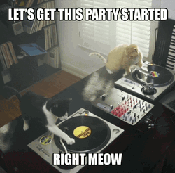 Happy Happy Happy DJ Cat Dance Party GIF
