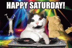 Happy Happy Happy Meme Saturday GIF