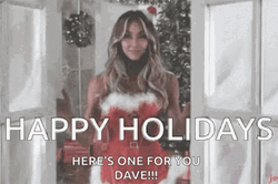 Happy Holiday Here's One For You Dave GIF