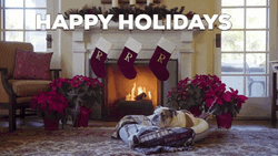Happy Holidays Cozy Dog GIF