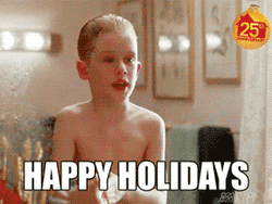 Happy Holidays Home Alone GIF