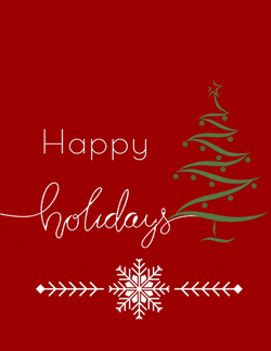 Happy Holidays Meme GIF