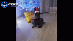 Happy Holidays Meme Santa Claus Cat GIF