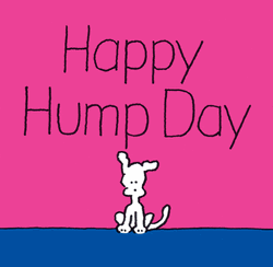 Happy Hump Day Blessed Good Morning Wednesday GIF