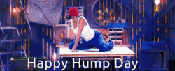 Happy Hump Day Dancing Man On The Floor GIF