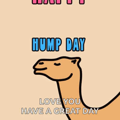 Happy Hump Day Greeting Card With Camel GIF