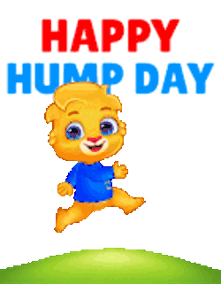 Happy Hump Day Happy Humpday Sticker GIF
