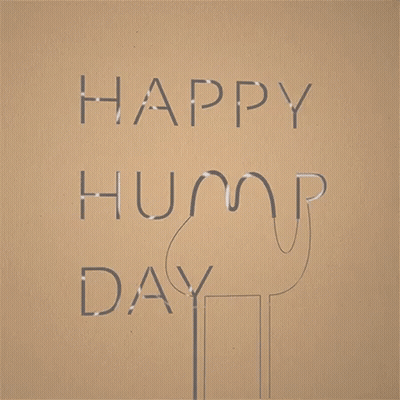 Happy Hump Day On Brown Background GIF