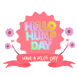 Happy Hump Day Sticker GIF