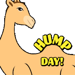Happy Hump Day Wednesday Is Hump Day Sticker GIF