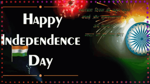 Happy Independence Day Fireworks Man In Turban GIF