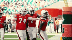 Happy Jump Hawaii Football Player GIF