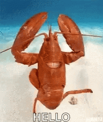 Happy Lobster Dance Hello  GIF