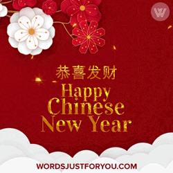 Happy Lunar New Year 2022 Spring Fireworks GIF
