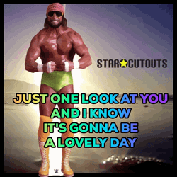 Happy Macho Man Day  GIF