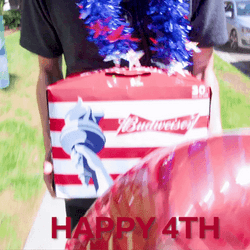 Happy Man Happy Fourth Of July GIF