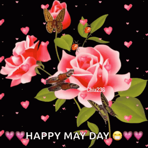 Happy May Day Greeting Card With Butterflies And Roses GIF