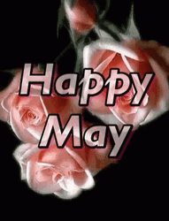 Happy May Pink Roses Illusion GIF