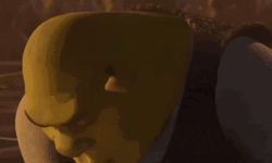 Happy Meme Excited Shrek  GIF