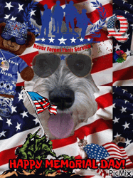 Happy Memorial Day USA Dog Cool Shades GIF