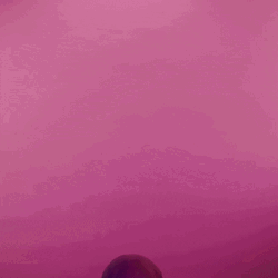 Happy Monday Good Morning Rose GIF