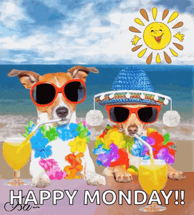 Happy Monday Greeting Two Dogs In Sunglasses And Flowers GIF