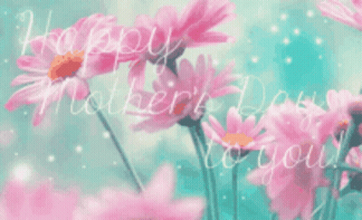 Happy Mother's Day Card With Pink Daisies GIF