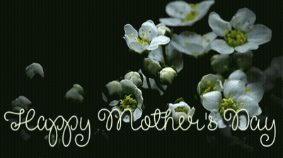 Happy Mother's Day Greeting With White Flowers GIF