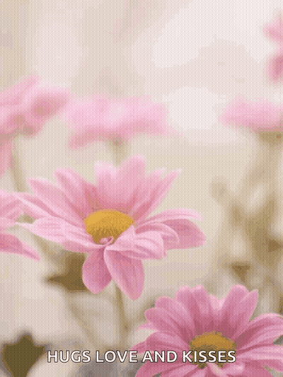 Happy Mother 'S Day Hugs Love And Kisses With Pink Flowers GIF