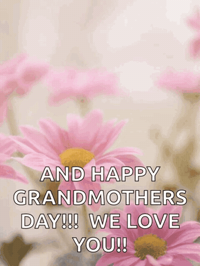 Happy Mothers Day And Grandmothers Day GIF