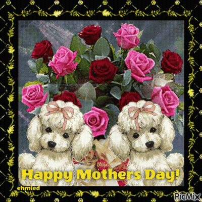 Happy Mothers Day Card With Poodles And Roses GIF
