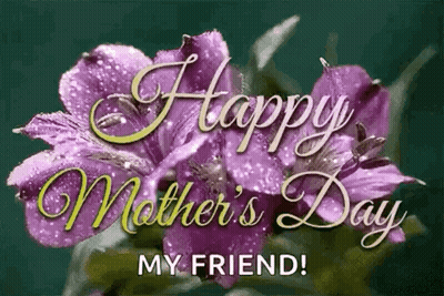 Happy Mothers Day Card With Purple Flowers GIF