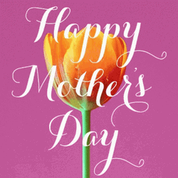 Happy Mothers Day Daughter In Law Glowing Tulip GIF
