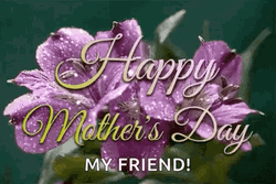 Happy Mothers Day Daughter In Law M Friend GIF