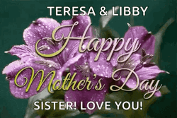 Happy Mothers Day Daughter In Law Teresa And Libby GIF