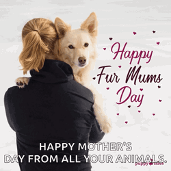 Happy Mothers Day Funny Fur Mom GIF