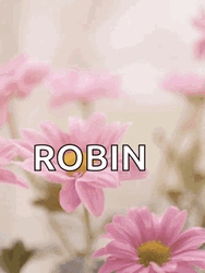 Happy Mothers Day Funny Pink Daisy GIF