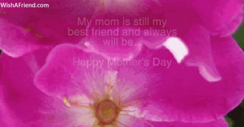 Happy Mothers Day Message With Pink Flower GIF