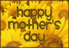 Happy Mothers Day Niece Sunflower Rotating Text Animation GIF