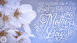 Happy Mothers Day Quotes White Buds GIF