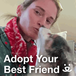 Happy National Dog Day Adopt Your Bestfriend GIF
