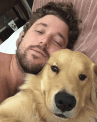 Happy National Dog Day Golden Retriever GIF