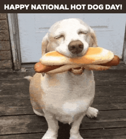 Happy National Dog Day Hotdog Buns GIF