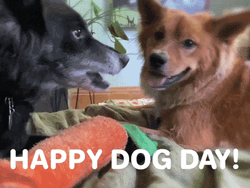 Happy National Dog Day To Us Kisses GIF